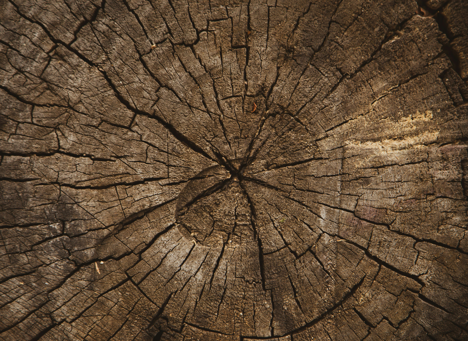 Anti-Aging from the Inside Out