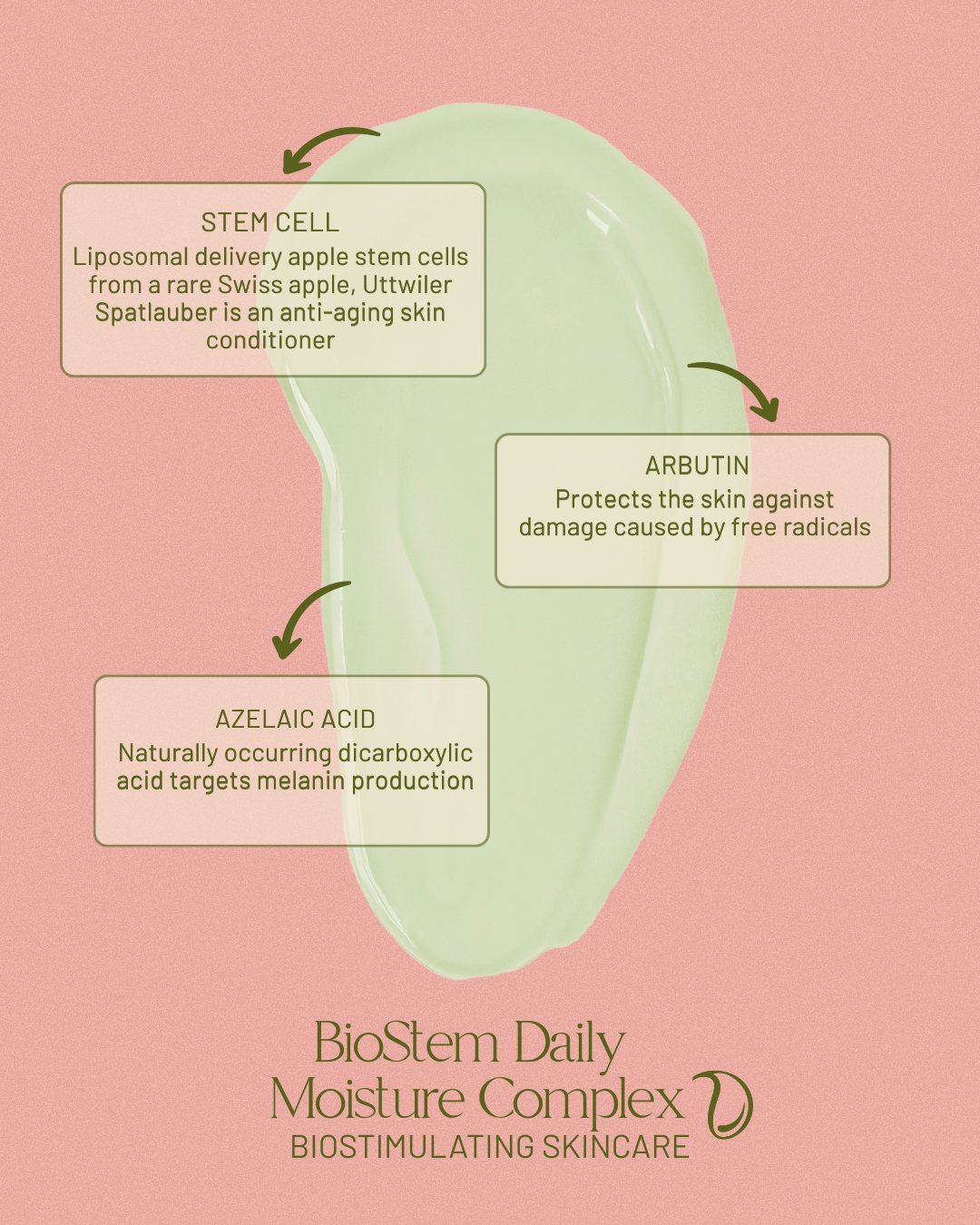 Biostem Daily Moisture Complex vitamin C moisturizer by Evangeline, view 3