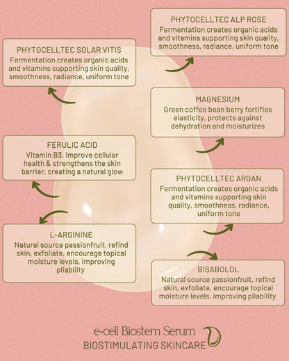 E-Cell plant stem cell serum in clinical syringe by Evangeline, view 4